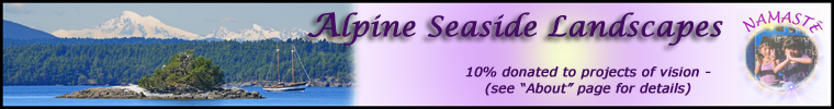 Header Graphic